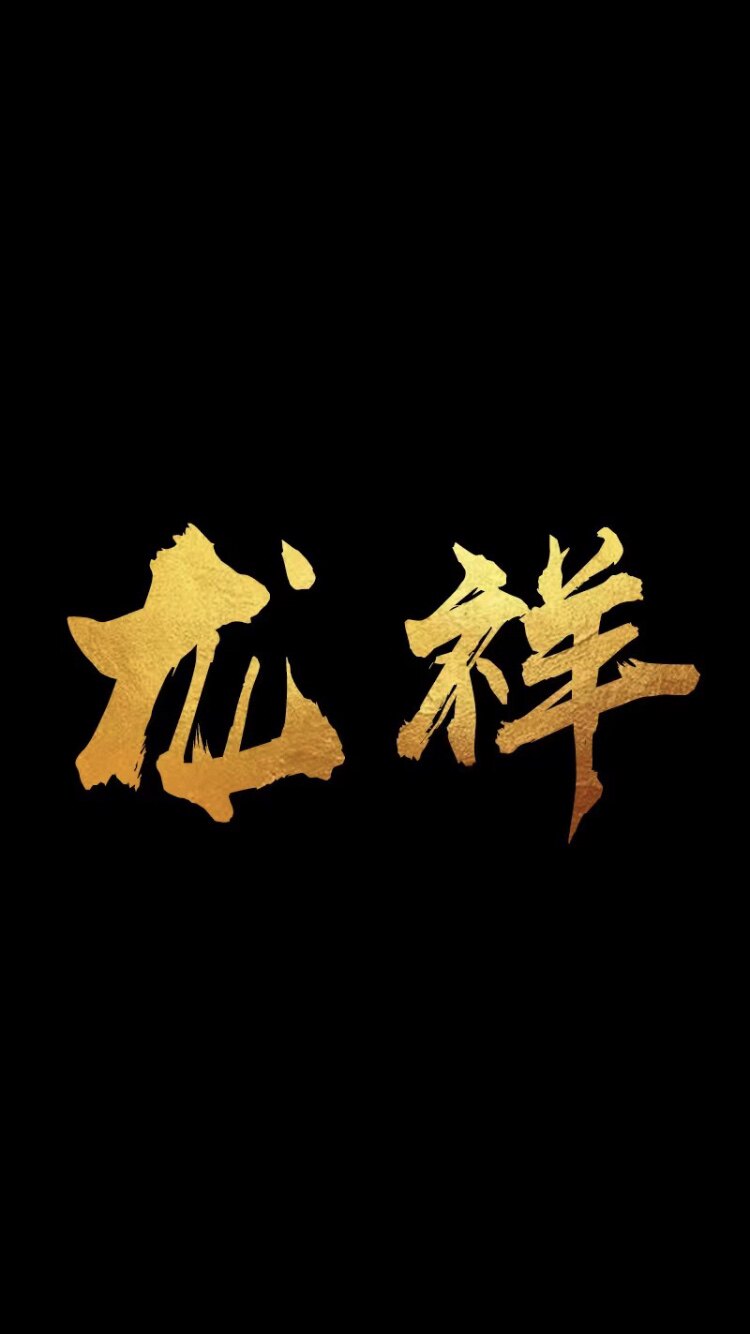 龙祥数码体验店