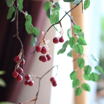 Forget a Berry simulation flower fruit and green vertical flower wall decorated with vine scene display