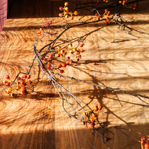 Looking for wild berry vine simulation flower decoration wild plant fruit vine winding landscaping forest shooting props