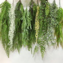 Simulation green plant wall hanging orchid hanging green plant Persian grass Fern wall hanging decorative fern leaf Rattan