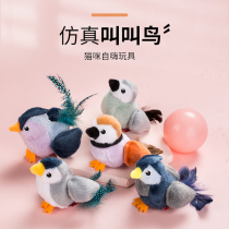 Payton cat since hi unfuzzy electric cat toy plush simulation called bird wall hanging cat stick and cat supplies