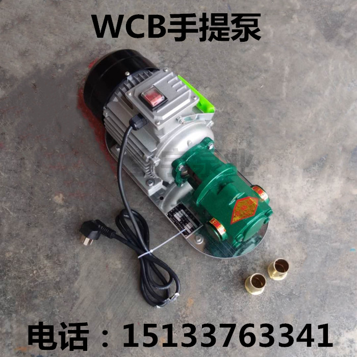 WCB-75 50 30 gear pump portable gear oil pump oil pump cast iron stainless steel pump complete machine