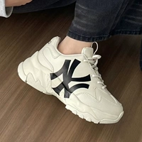 W Warehouse-3ASHC101N-50BGS