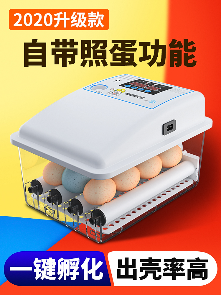 Incubator Household type egg hatcher Water bed hatcher Smart small mini hatcher Chicken duck egg hatching box