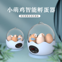 Incubator Science and Education Chicken Incubator Small household type child incubator Parrot Mini automatic incubator