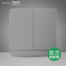 Schneider Yishang fluorescent gray two-position two-way dual-link multi-control three-control double-open midway switch original