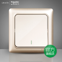 Schneider switch socket Rui Yi gold with fluorescent single single open multi-control switch socket