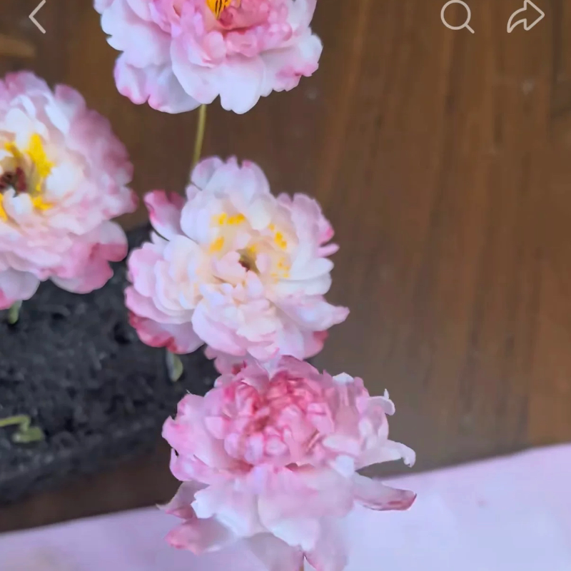 301 302 Three-Point Peony 3-Point Peony Miniature Mold Cutting Die Mold Clay Flower Moonlight and Flowers