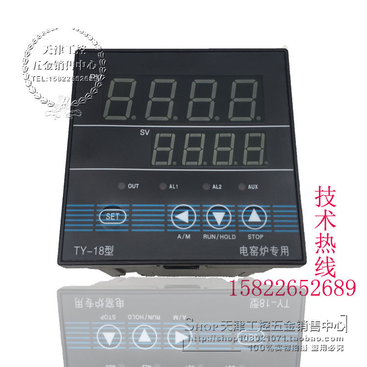 TY-18 customized curve time heating control instrument Electric furnace dedicated full intelligent program instrument