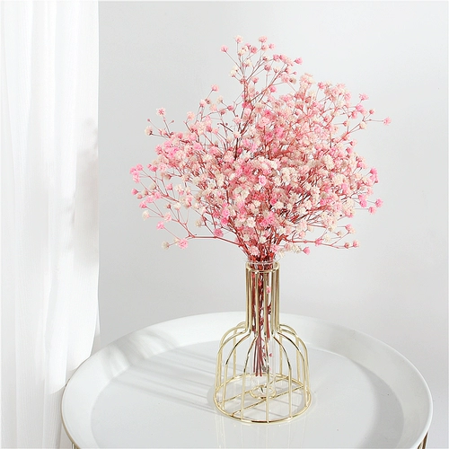 Ins feng rabbit хвост сухой цветок