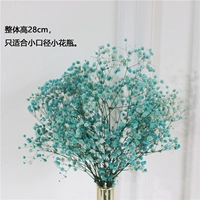 Tiff Lan Fang Tianxing Flow