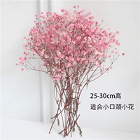 Eternal Pink Pink Full Star (за исключением вазы) подходит только для небольших ваз.