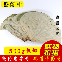 Weishan Lake Wild Whole Lotus Leaf Lotus Leaf Tea Dried Lotus Leaves for Tea Lotus Leaf Rice Lotus Leaf Chicken 500g