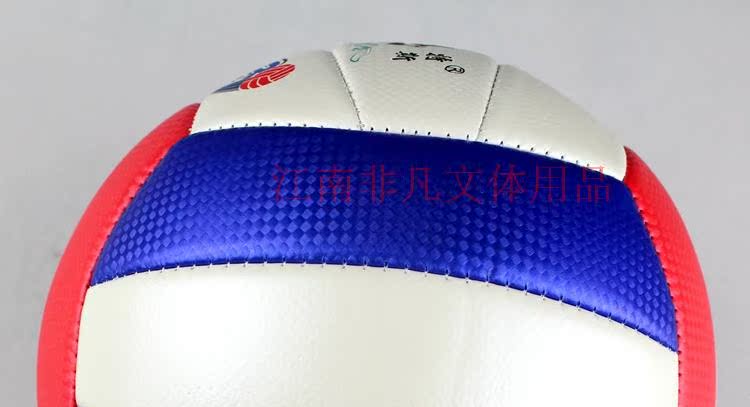 Ballon de volley - Ref 2012212 Image 5