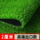 Экспортная модель высоты травы 2 см [10 квадратных метров] Рекомендация/гарантия на открытом воздухе/гарантия