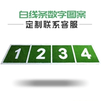 ✅Настройка цифрового рисунка белой линии [обратитесь в службу поддержки клиентов для индивидуальной настройки]