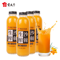 Gong Tianxia Optimal Luliang wild hillside raw seabuckthorn juice glass bottle Shanxi specialty fruity drink