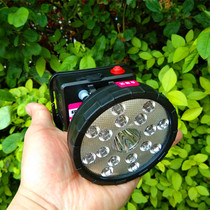 led catch and arrest scorpion lamp special purple light catching scorpion super bright double lithium battery head lamp