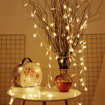 LED Plug-in Color Lights Strings full of Star Flashing Lights Stars Decorated Christmas Festival Stage Pentagram Wedding Celebration Romance