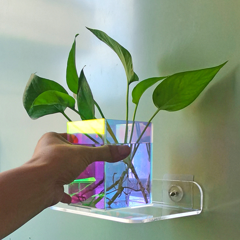 Creative acrylic vase aqueous plant green flower flower flower bottle flower pot