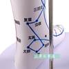 Meridian Large Size A60Cm Human Acupoint Model Human Meridian Mold Human Acupuncture Model Twelve Meridians