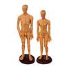 Traditional Chinese Medicine Acupuncture Human Body Acupuncture Point Twelve Meridian Model Small Mannequin for Practicing Acupuncture on the Whole Body