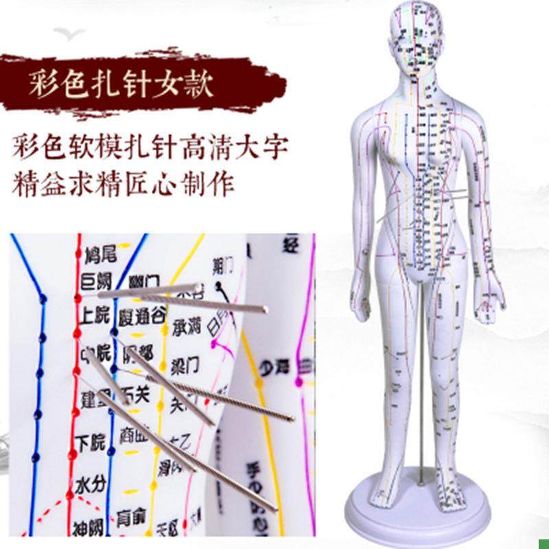 Traditional Chinese Medicine Acupuncture Human Body Acupuncture Point Twelve Meridian Model Small Mannequin for Practicing Acupuncture on the Whole Body