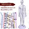 Traditional Chinese Medicine Acupuncture Human Body Acupuncture Point Twelve Meridian Model Small Mannequin for Practicing Acupuncture on the Whole Body