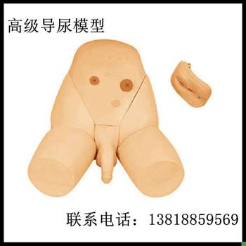 Interchangeable Male and Female Catheterization Model, Catheterization Training Model, Lower Body Model, X External Genital Organ Module
