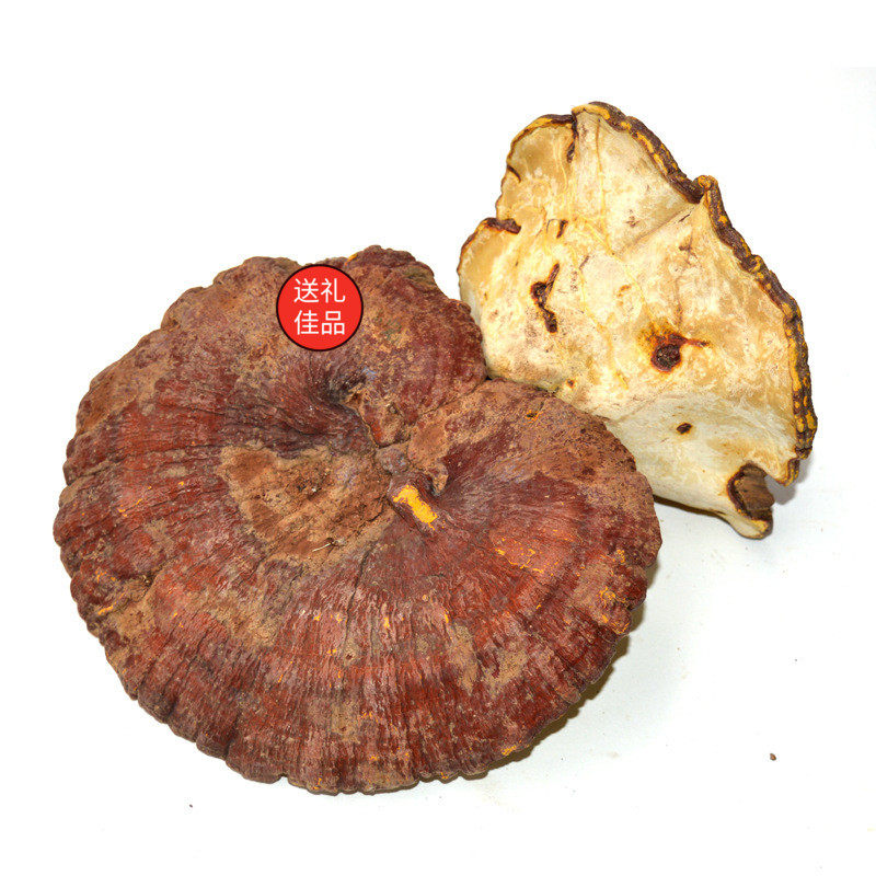 Friends of Purple Snow Ganoderma lucidum Yunnan wild red reishi red ganoderma lucidum red ganoderma lucidum 500g 