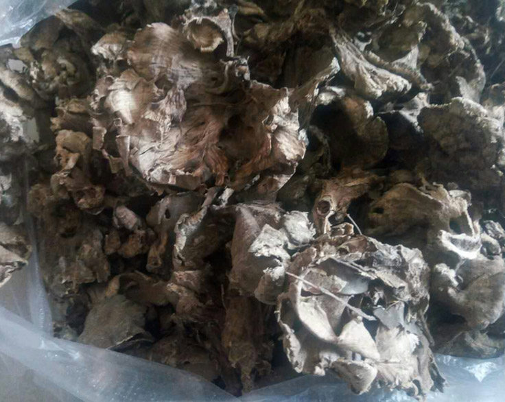 Yunnan wild ash tree flower ash tree mushrooms wild dance mushrooms dry goods without sediment 500g
