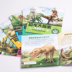 Mô phỏng Khủng long Mô hình Khủng long Lớn Trứng Động vật nhỏ Tyrannosaurus Rex Cậu bé Bộ đồ chơi Khủng long 3-6 năm - Đồ chơi gia đình đồ chơi rút gỗ Đồ chơi gia đình