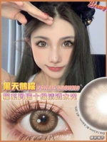 Черный лебедь коричневый