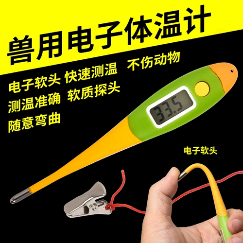 Термометр, тамагочи, кот