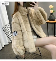 Абрикосовый