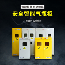 All-steel explosion-proof gas cylinder cabinet acetylene methane gas cylinder cabinet Double bottle explosion-proof gas cylinder cabinet with smart alarm storage cabinet