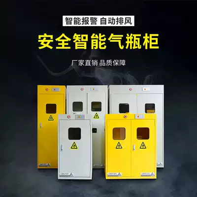 All-steel explosion-proof gas bottle cabinet acetylene methane gas bottle cabinet double bottle explosion-proof gas bottle cabinet with intelligent alarm storage cabinet