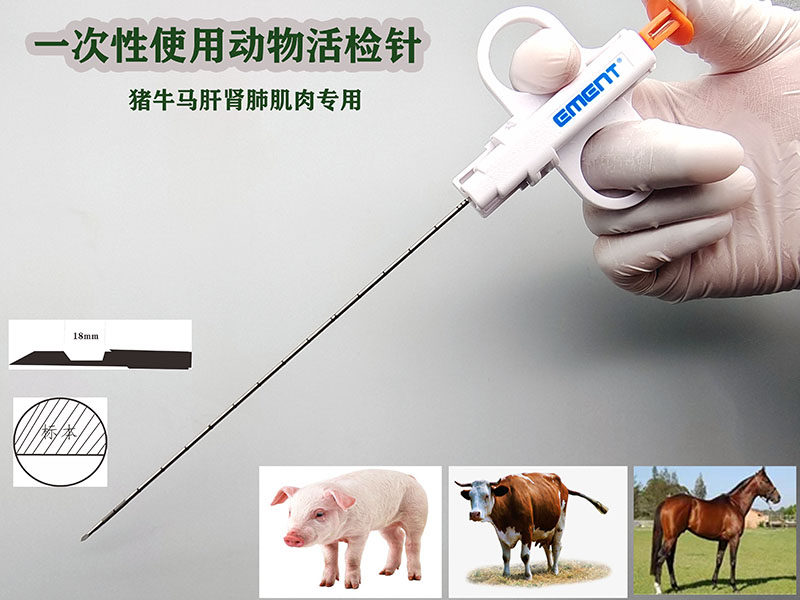 自动动物组织活检针猫狗兔猪穿刺教学研究实验肝脏肺器官简易采集
