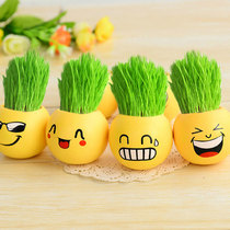Mini Expression Potted Green Grass Planting Yi Live School Gift Long Grass Grass Head Doll Table Diy Small Grass Potted Plant