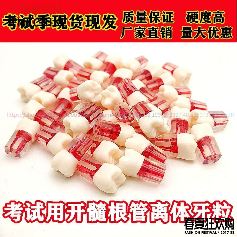 牙医口腔技能考试练习树脂牙粒根管牙离体牙开髓牙仿真牙备牙模型