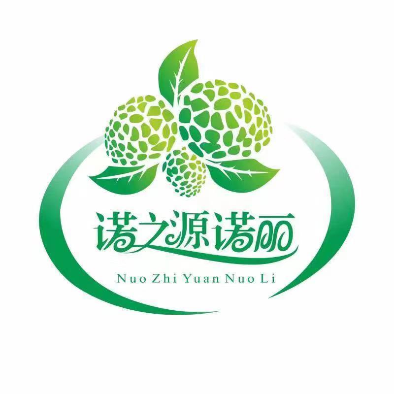 诺之源诺丽官方店
