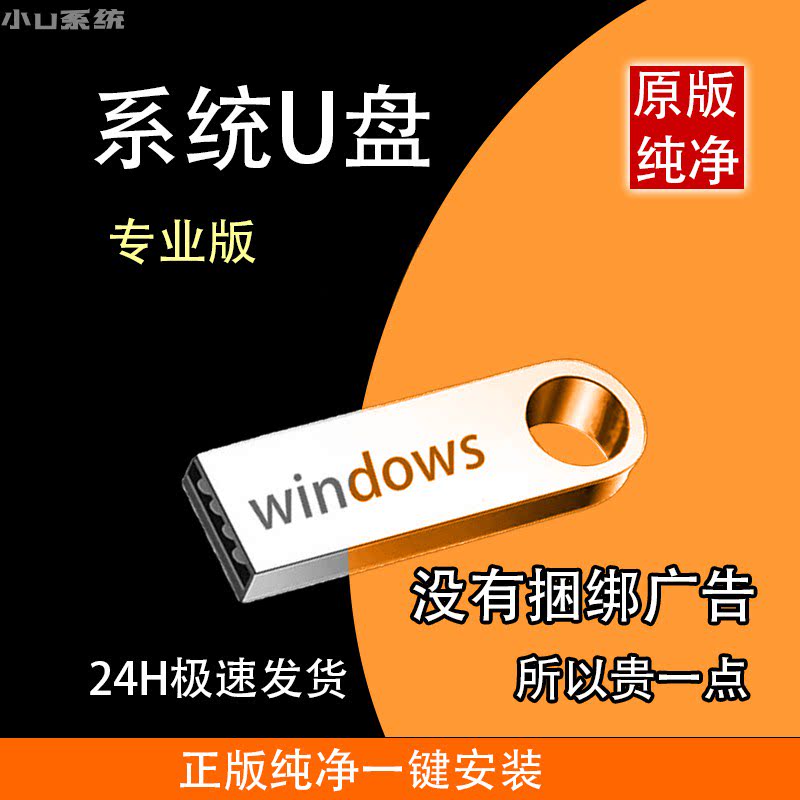usb3.0系统盘电脑一键重安装机win10正版专业7旗舰11纯净pe启动64