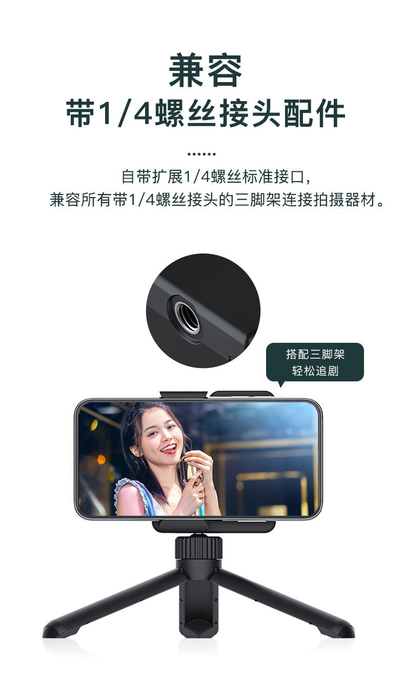 Cracket_04