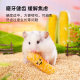 Kano Hamster Snacks Teething Sticks ອາຫານໂພຊະນາການ ສາລີຂະຫນາດນ້ອຍ Cobs ກິນໄດ້ Golden Bear Landscaping ອຸປະກອນປະຈໍາວັນ