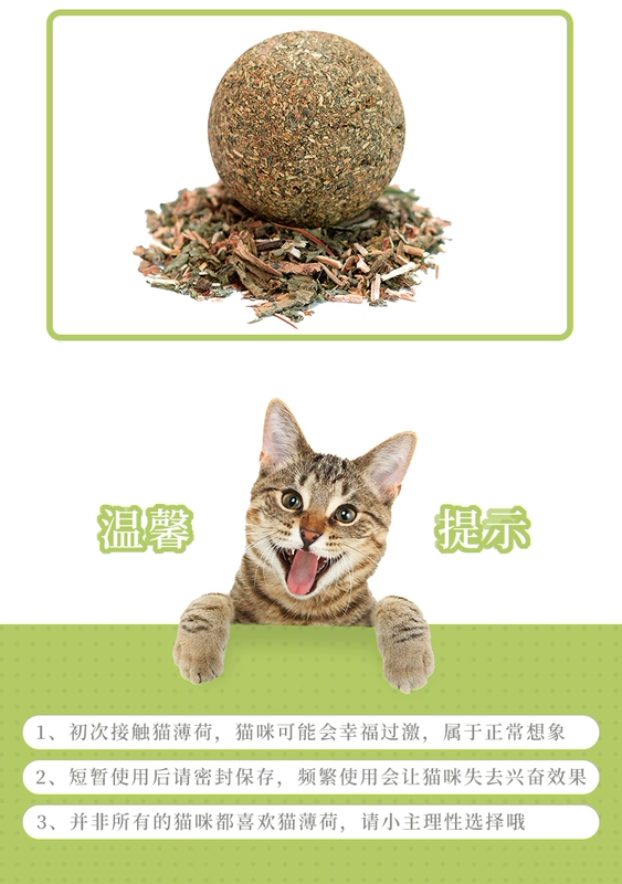 Pet mèo catnip kẹo mút catnip bóng tự nhiên mol tương tác gỗ bọ cạp thanh đồ chơi đồ ăn nhẹ thức ăn tốt cho mèo