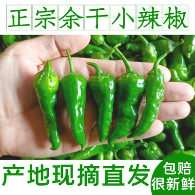 [5斤正宗江西余干小辣椒新鲜农家余干枫树薄皮土辣椒1斤青椒季蔬菜]