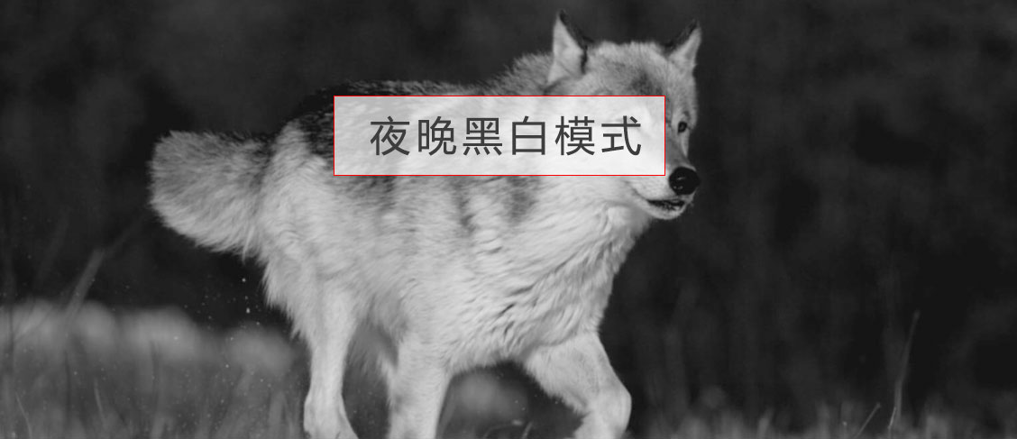ATN双筒数码日夜两用***望远镜BinoX-HD 4-16x可拍照摄录WIFI