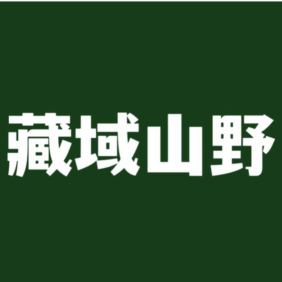 藏源山野 松茸虫草产地直销店