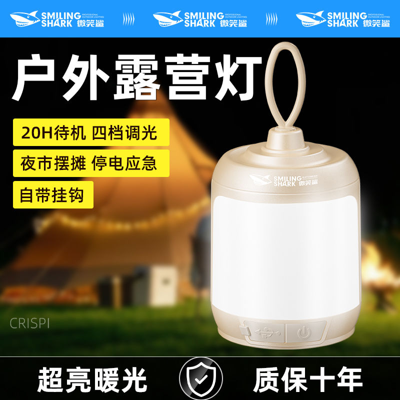 户外露营小型续航氛围手提小夜灯照明灯充电可悬挂摆摊灯桌面夜灯