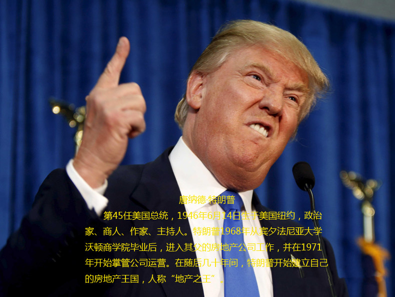 Perruque cheveux raides Court - Ref 2613025 Image 6